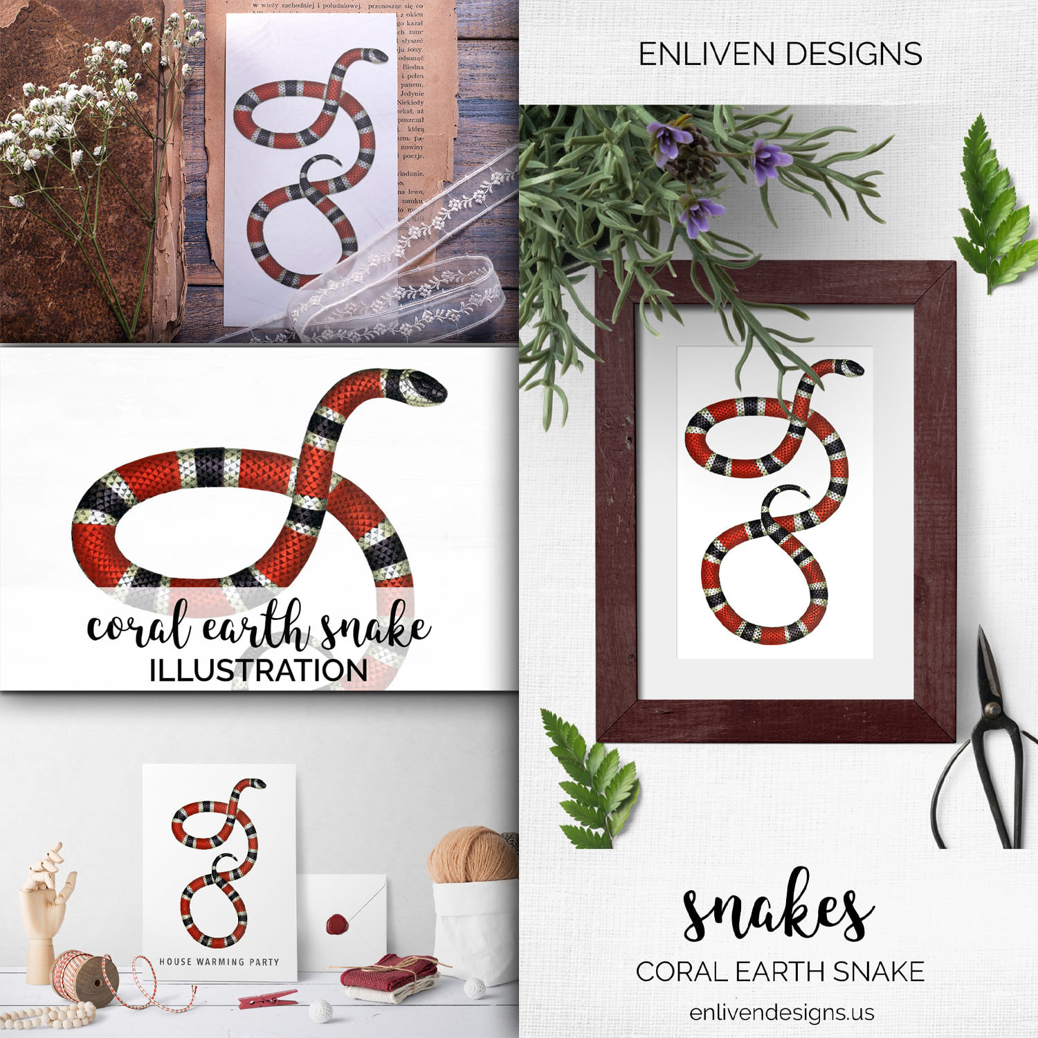 Colorful set of images with coral earth snake.