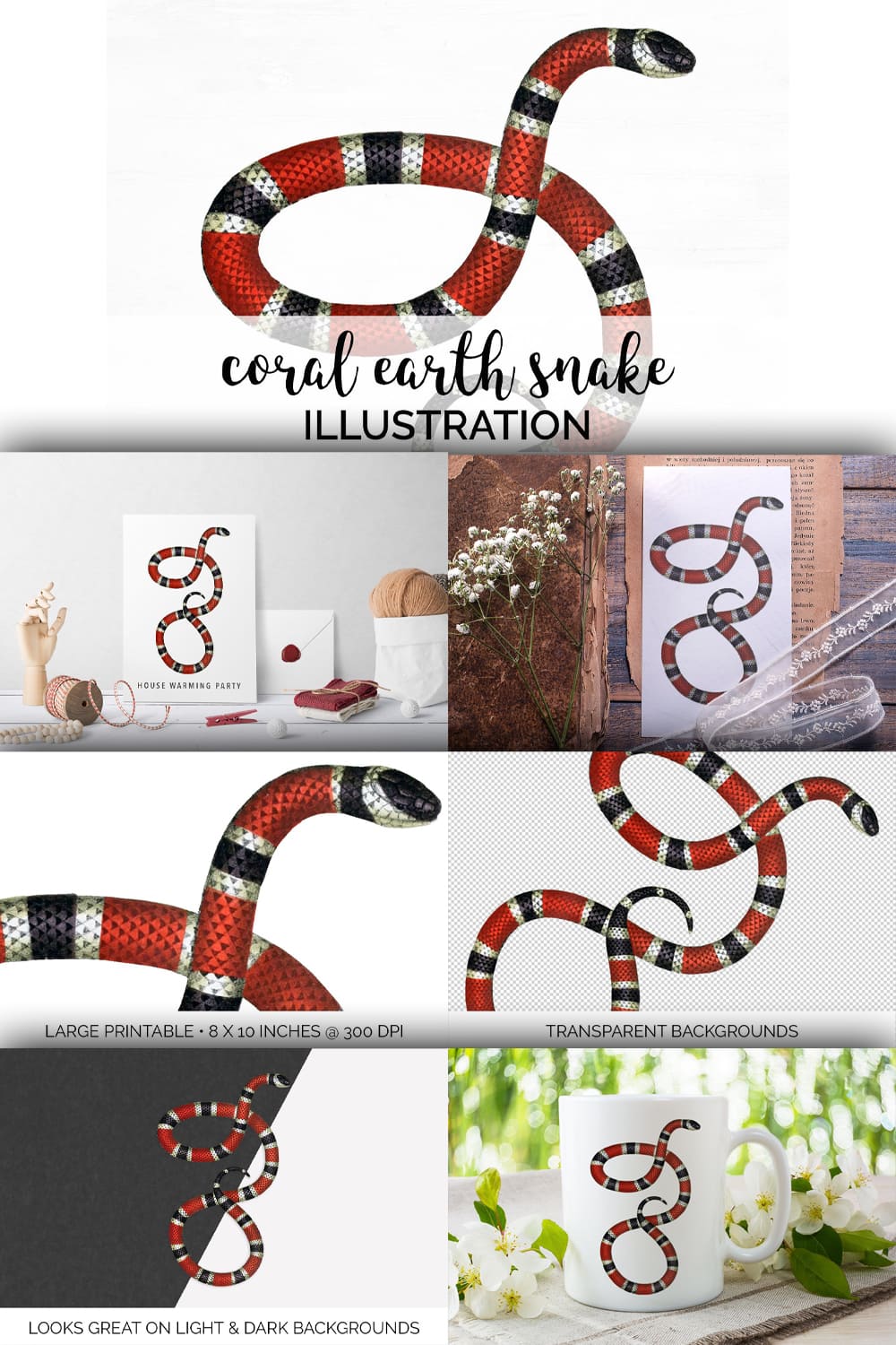 Collection of colorful images coral earth snake.