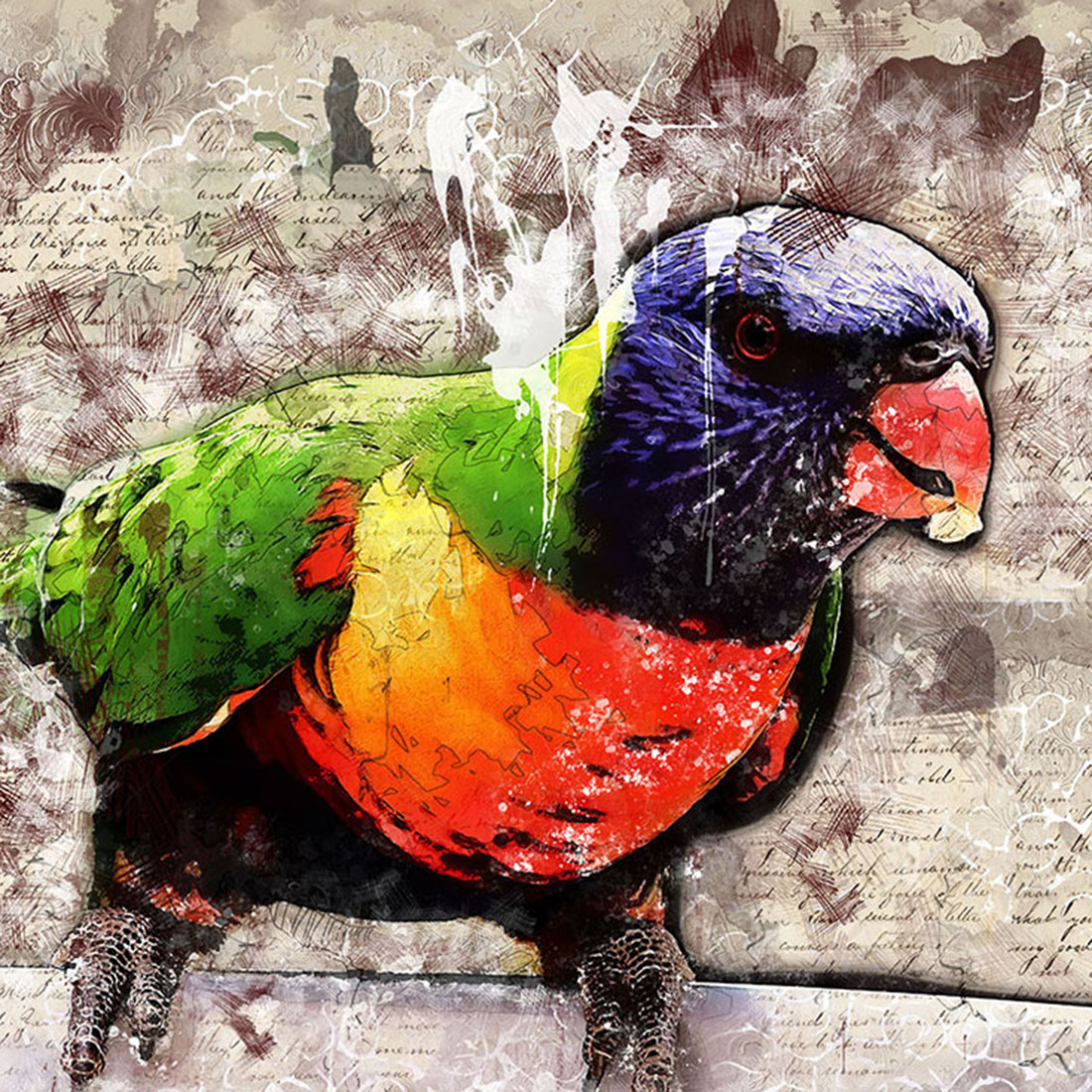 Bird Graphics with Rustic Style cover illustration.