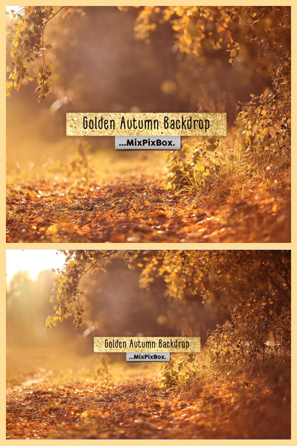 Collage of images with a road in the autumn forest.