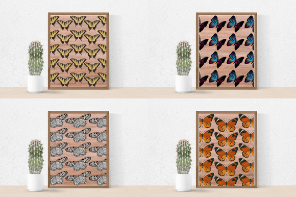 Four posters in a minimalistic style with the butterflies.