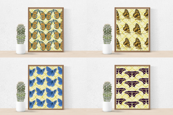 Four posters with the beautiful vintage butterflies prints.