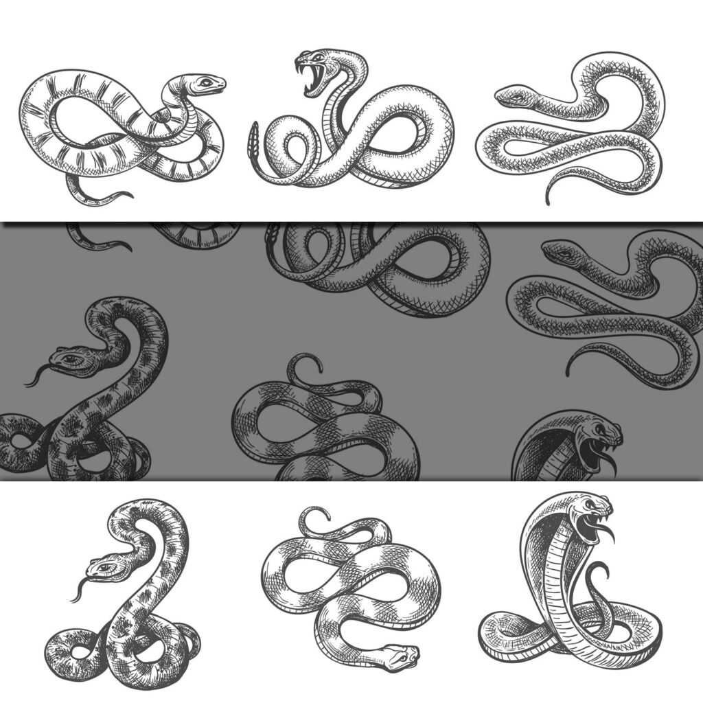 Snakes Sketch Set – Masterbundles