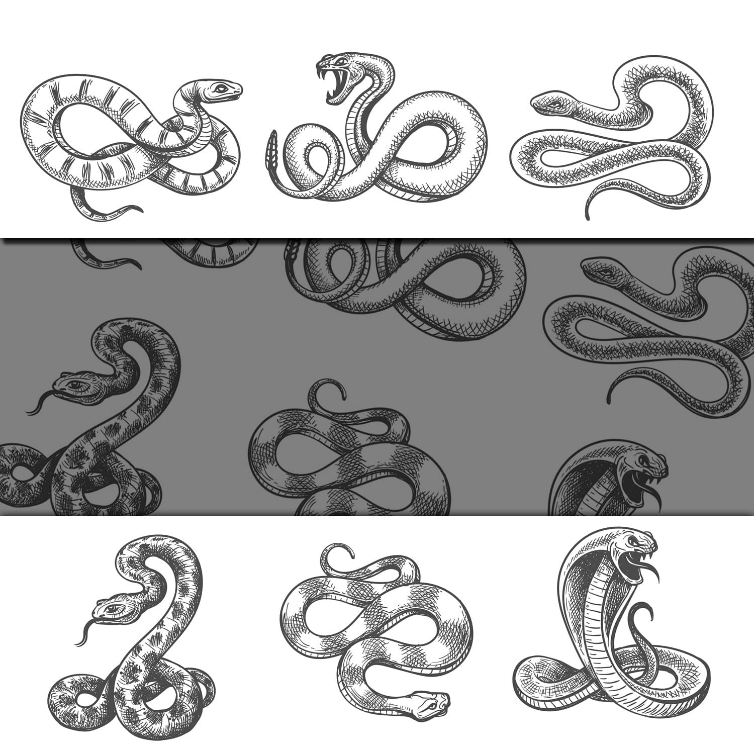 Set of black images of furious snakes.