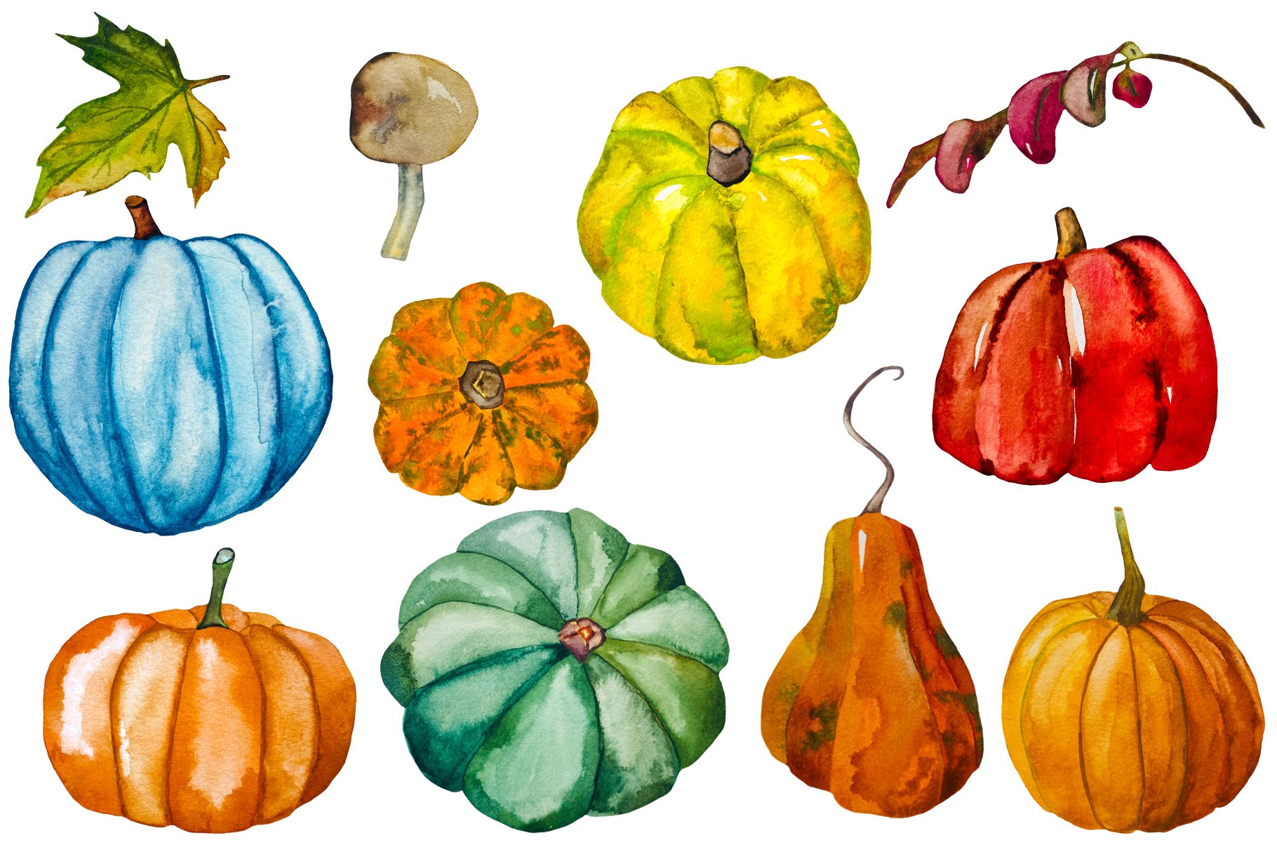 Diverse of multicolor pumpkins.