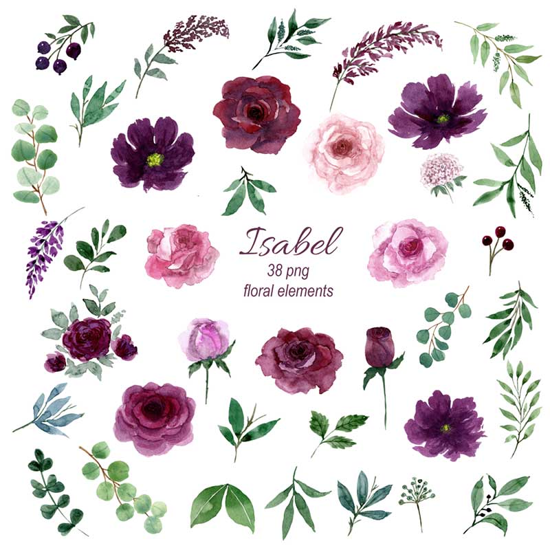 Burgundy, Purple and Pink Watercolor Flowers Clipart Set, floral elements.