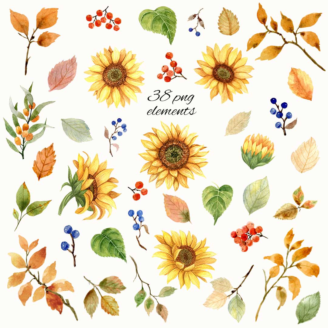 Collection of Bright Watercolor Autumn Clipart, floral elements.