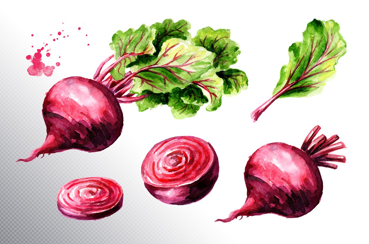 Realistic red beetroots.