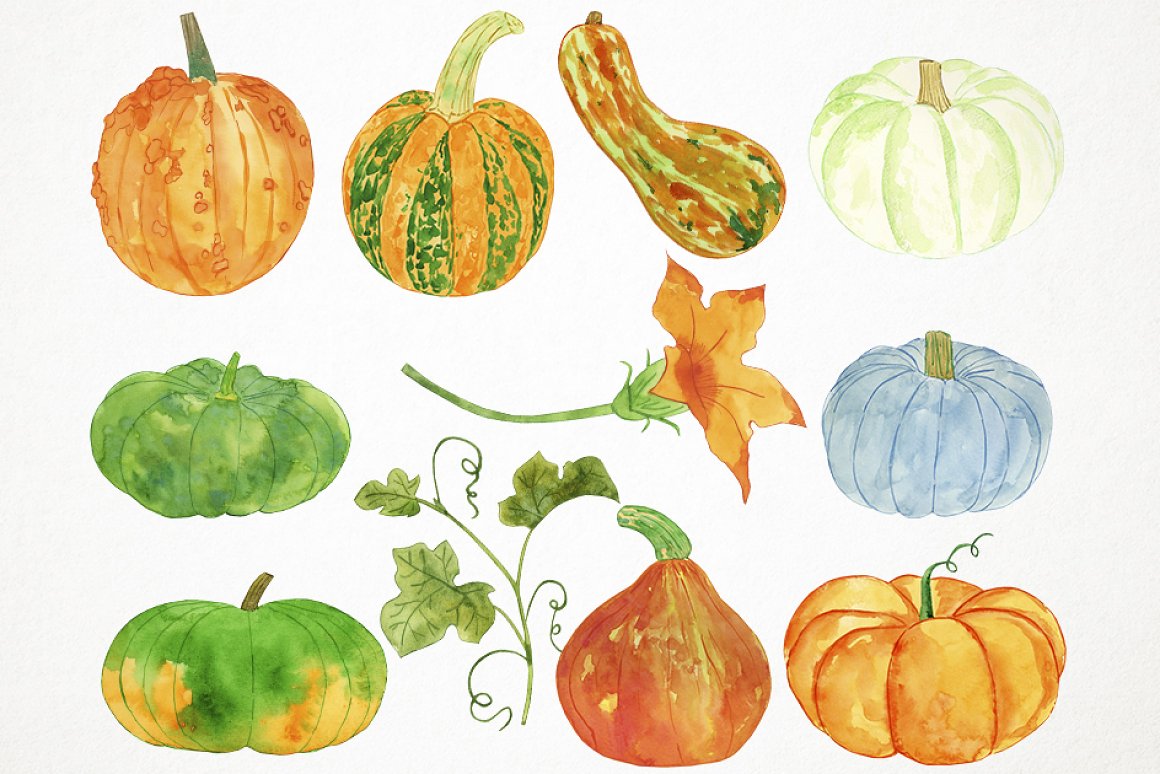Some pumpkins with flowers for your autumn illustration.