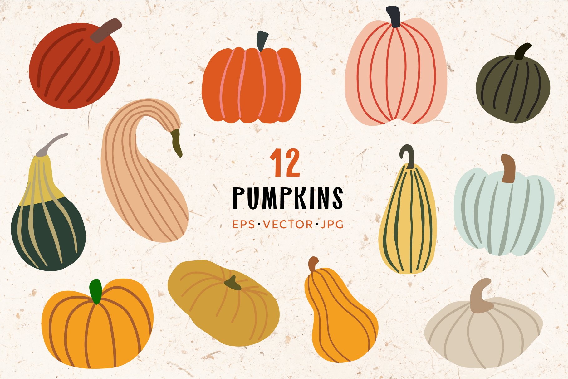 Diverse of colorful pumpkins in different shapes.
