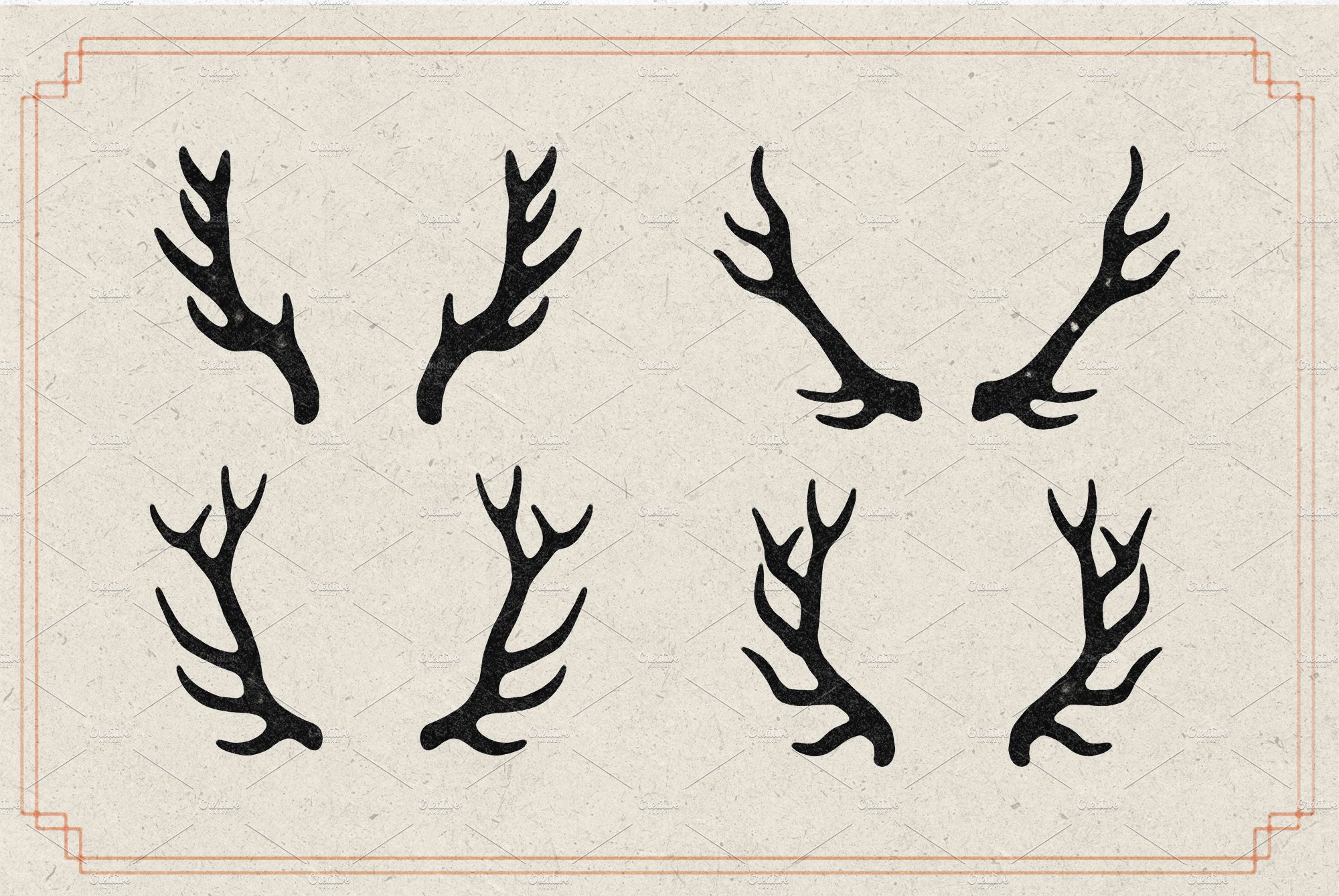 Diverse of deer horns.