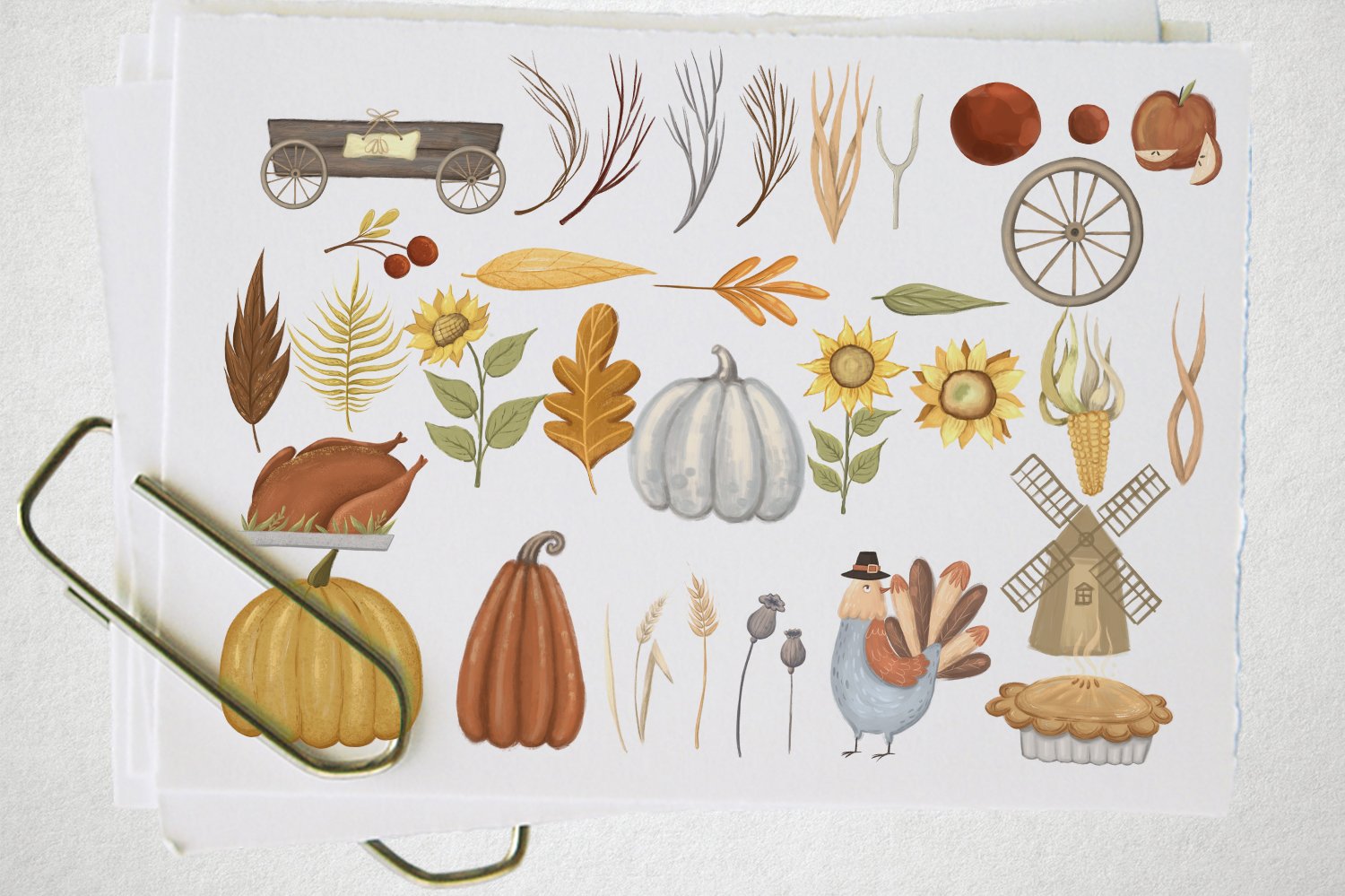 White background with autumn elements for Thanksgiving celebration.