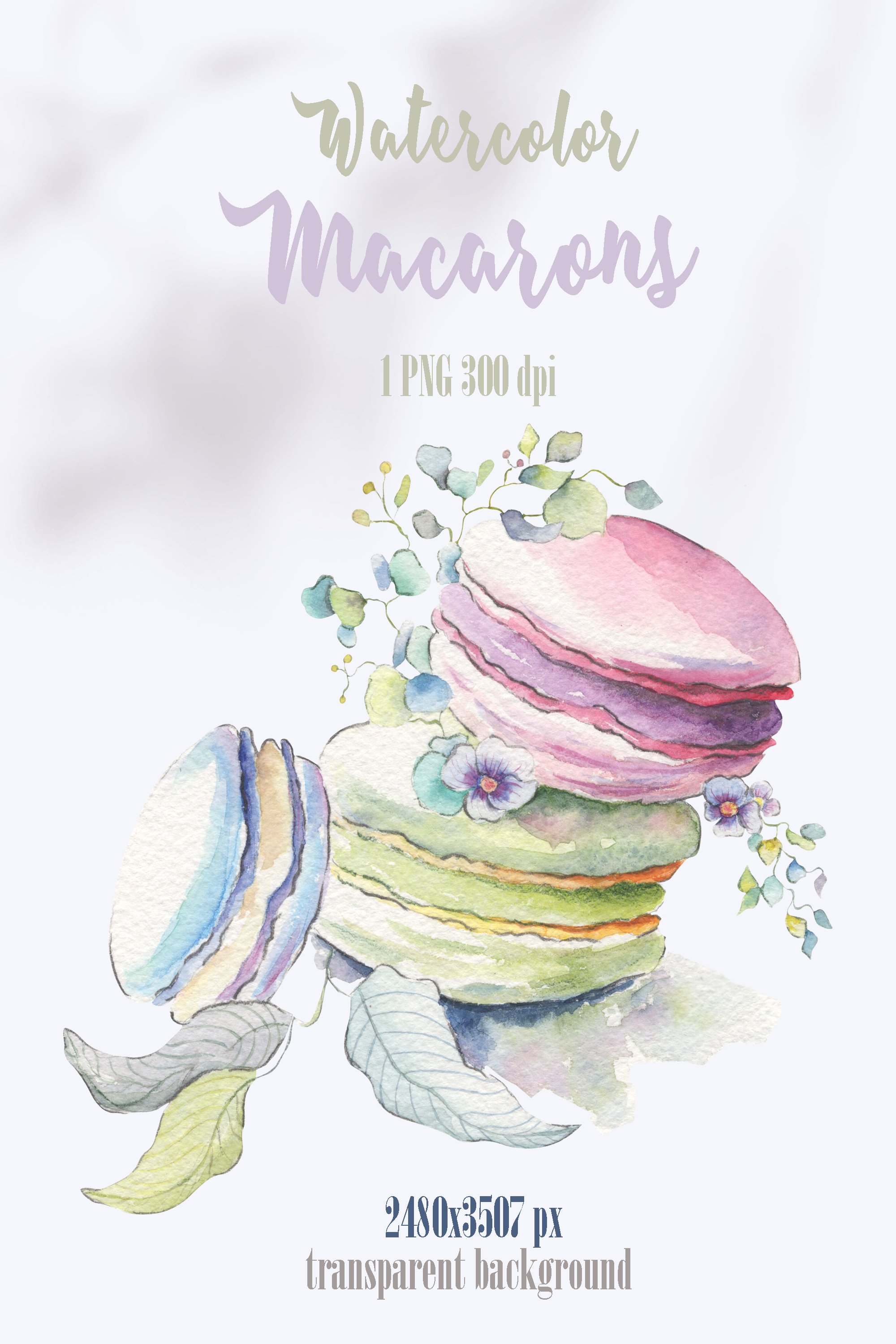Elegant and delicate macaroons look like a part of art.