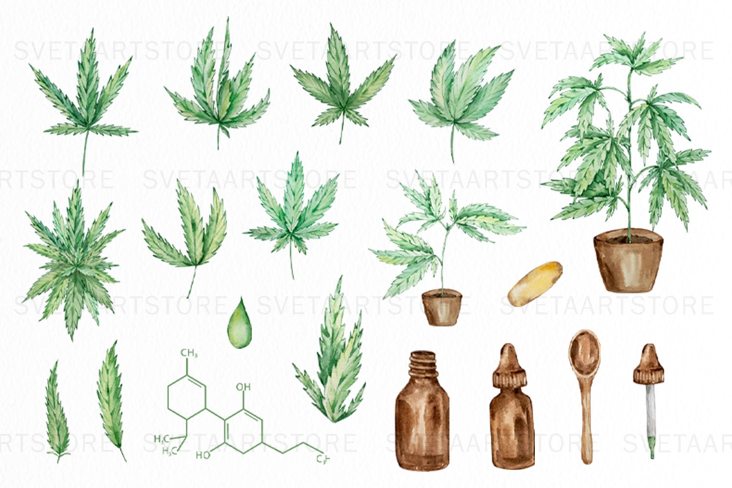 Hand Painted Watercolor Cannabis clipart.