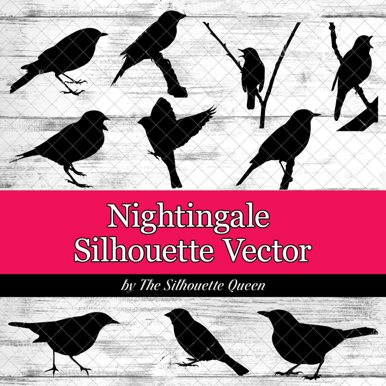 Nightingale Silhouette Vector cover.