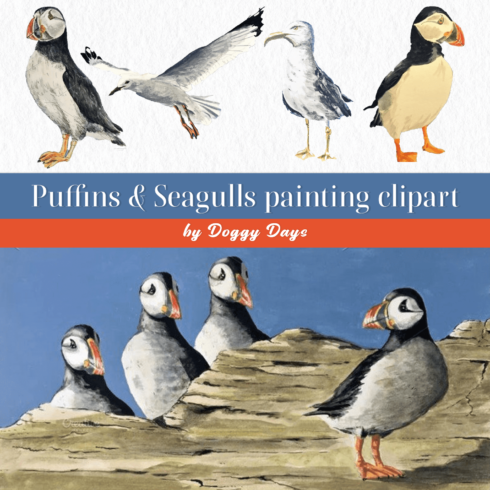 Puffins & Seagulls painting clipart.