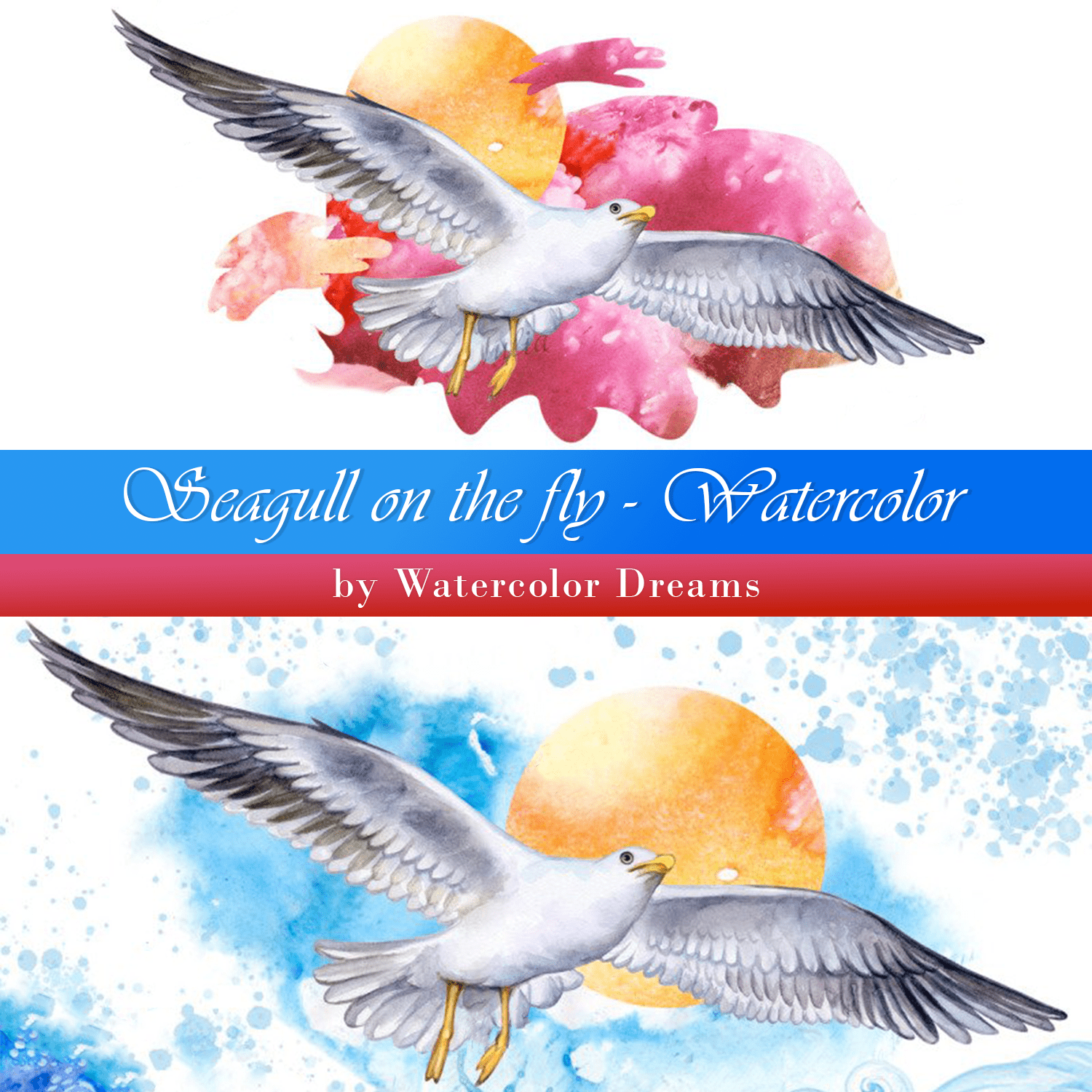 Seagull on the fly. Watercolor cover.