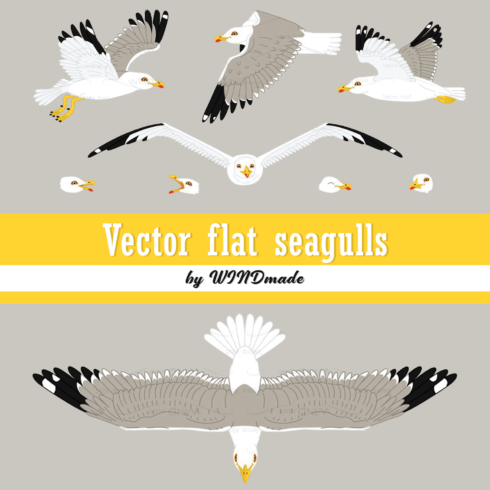 vector flat seagulls sea gull.