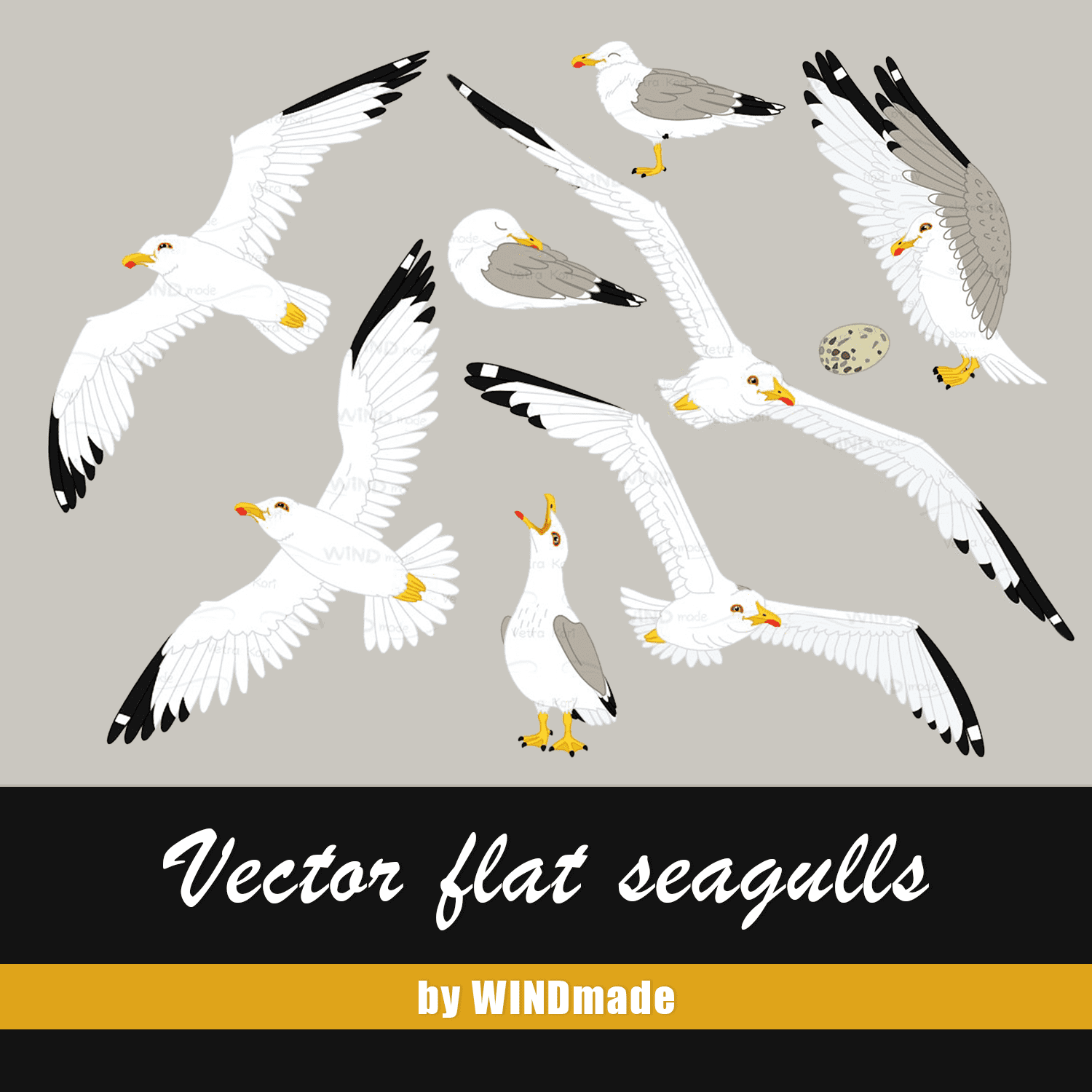 vector seagull sea gull set cover.