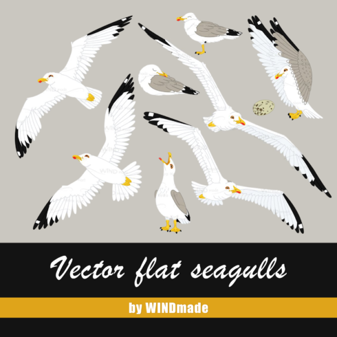 vector flat seagulls sea gull.