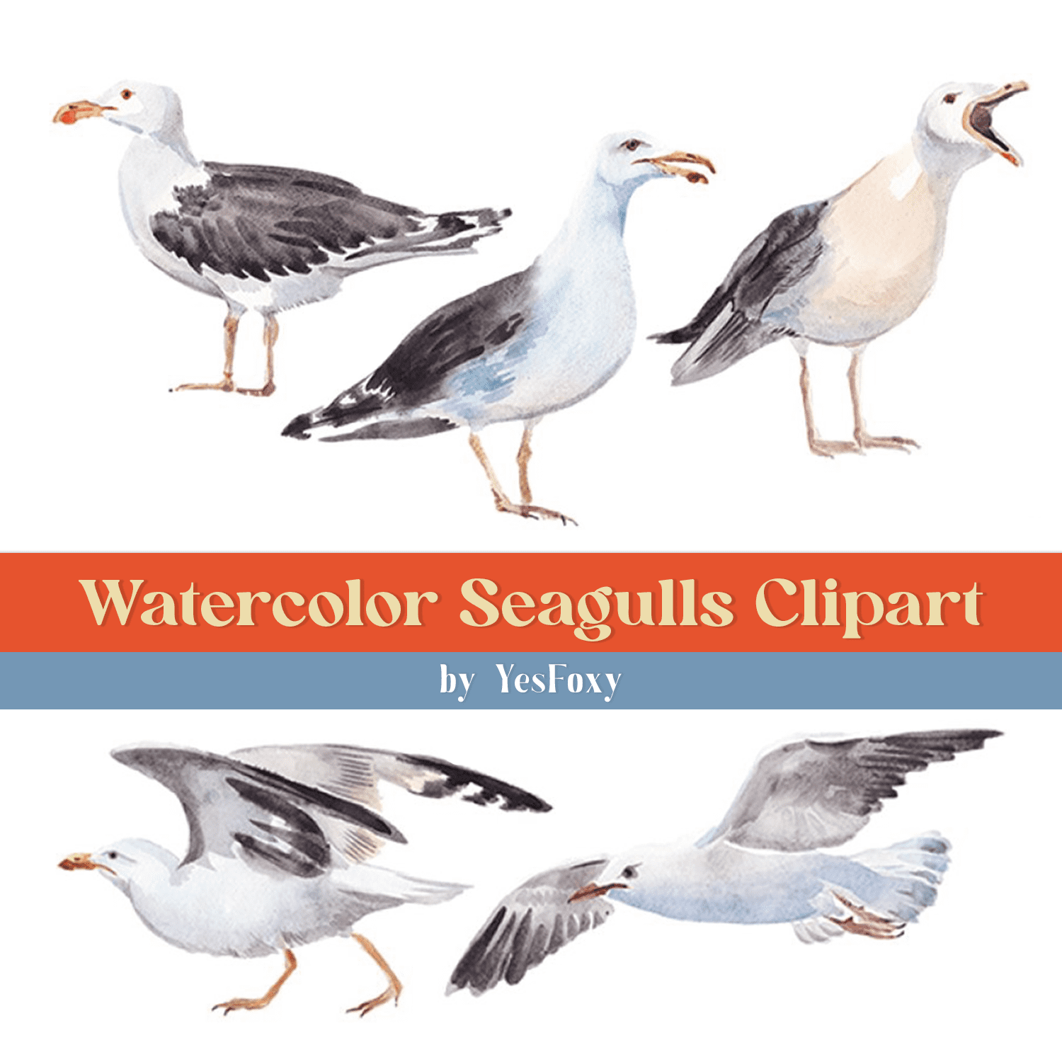 Watercolor Seagulls Clipart cover.