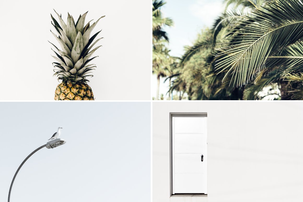 4 different images in a minimalist style and light colors - a pineapple, a palm tree, a seagull sitting on a street lamp and a white door.