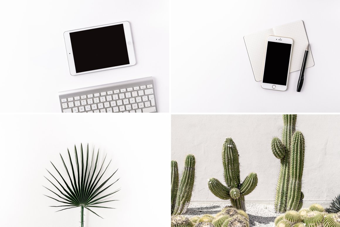 4 different images in a minimalist style and light colors - an iPad and a keyboard, an iPhone on a notepad and a pen, a plant and cacti.