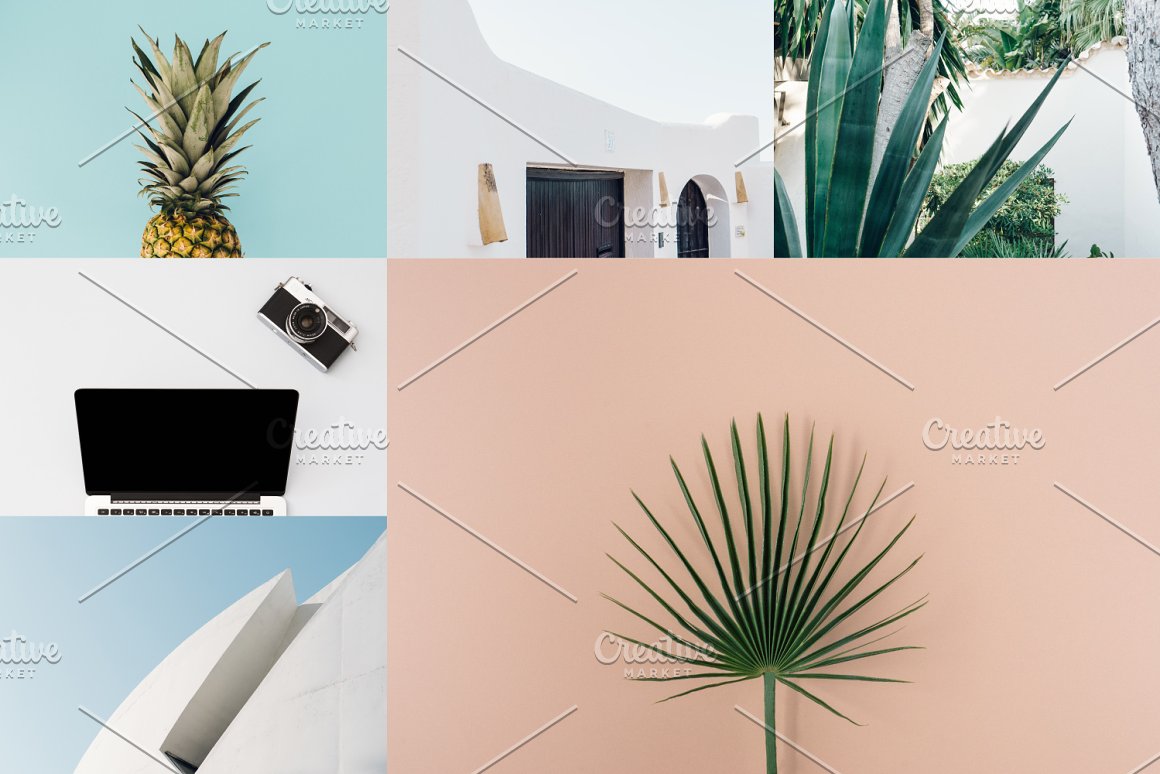 6 colorful and bright images - pineapple, building, plant, macbook with camera, building facade and plant.