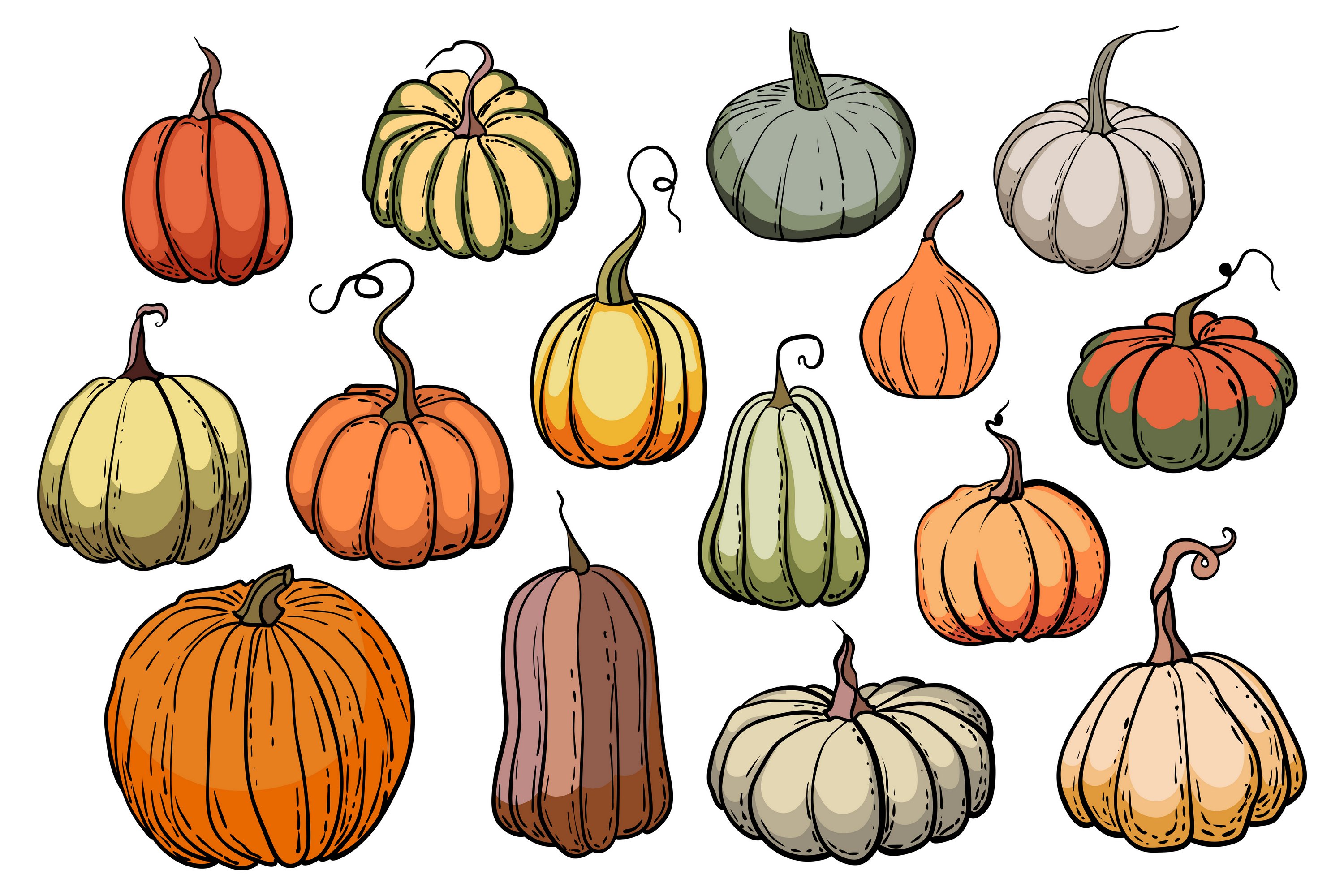 Diverse of pumpkins in a vintage style.