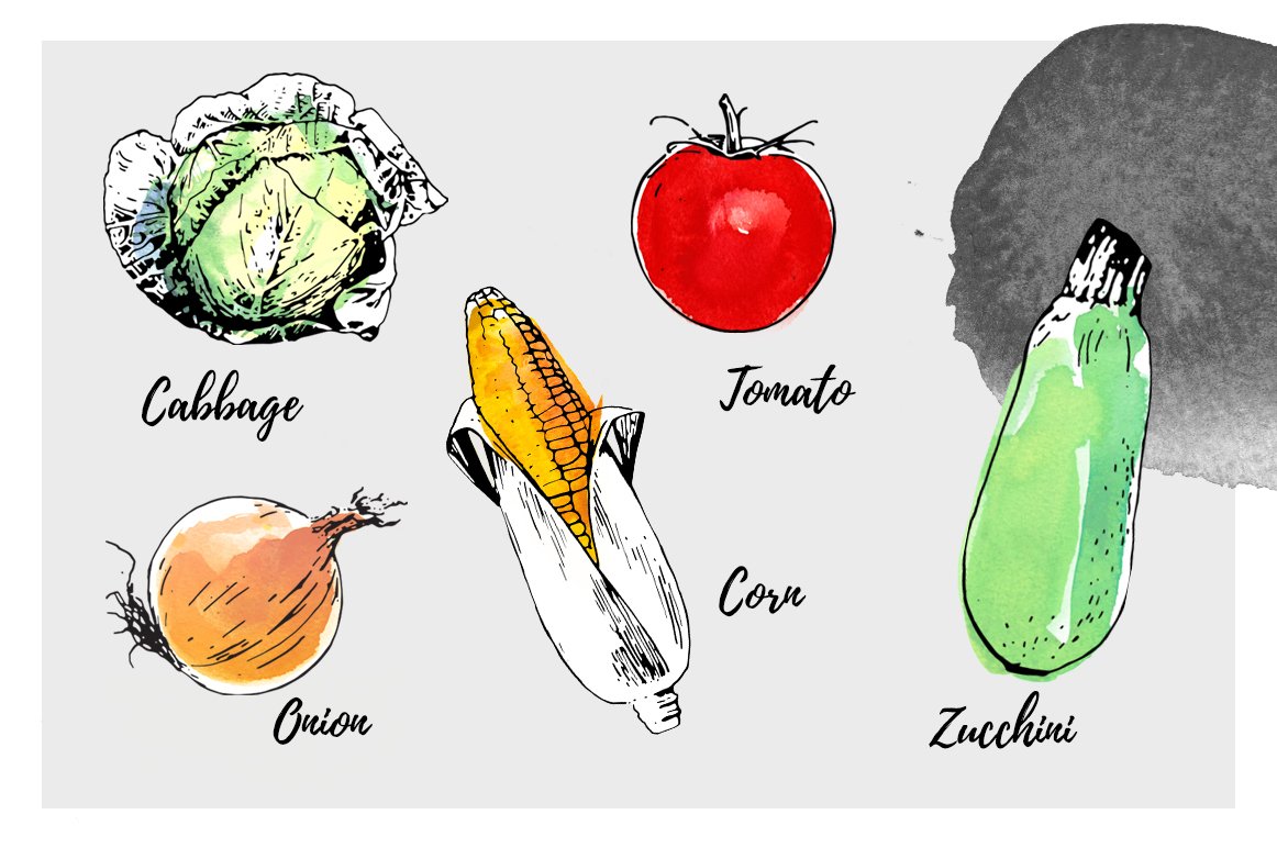 Some organic foods in a watercolor style.