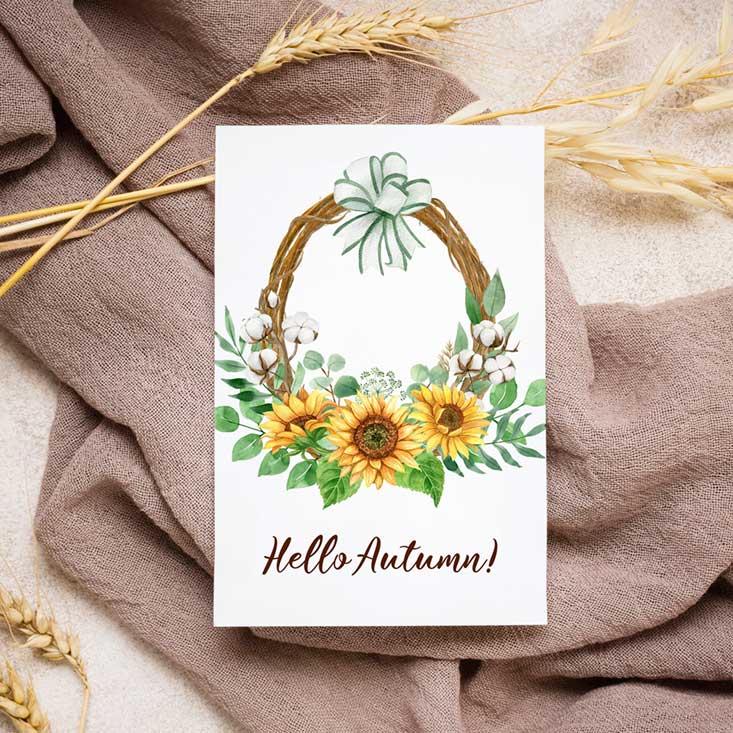 Watercolor Sunflower and Cotton Clipart, good for greeting cards.