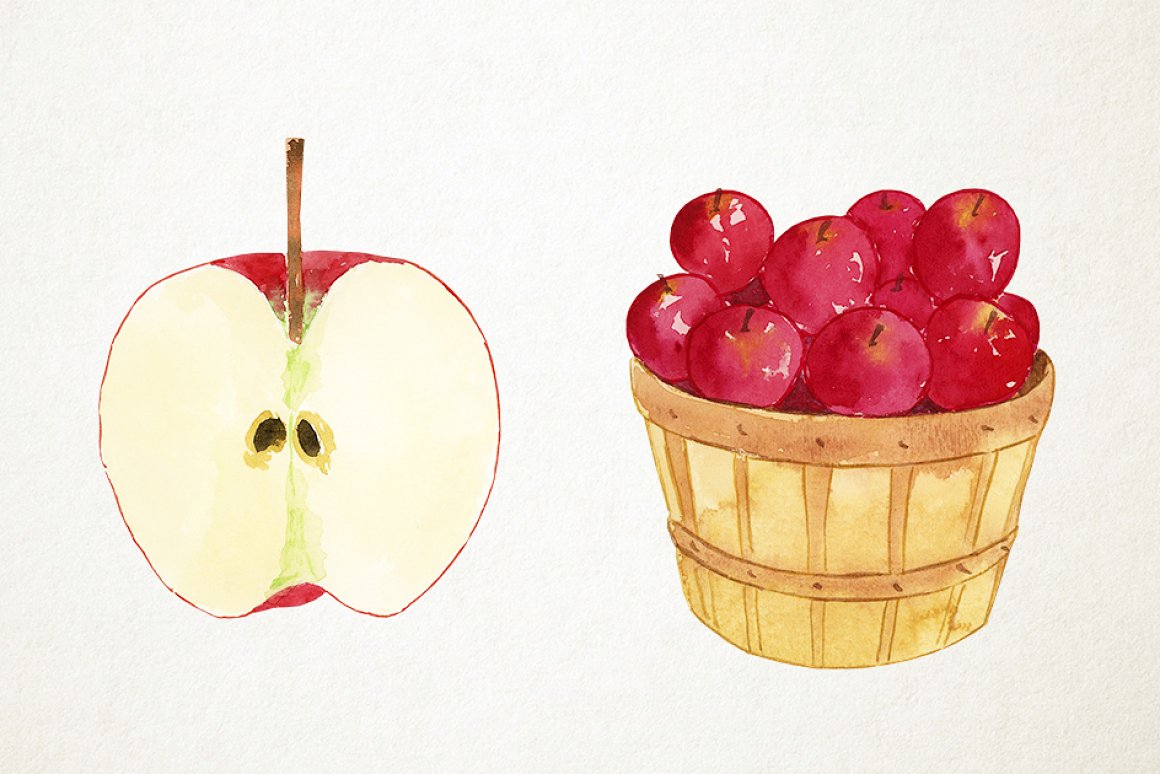 The basket of apples and an apple half.
