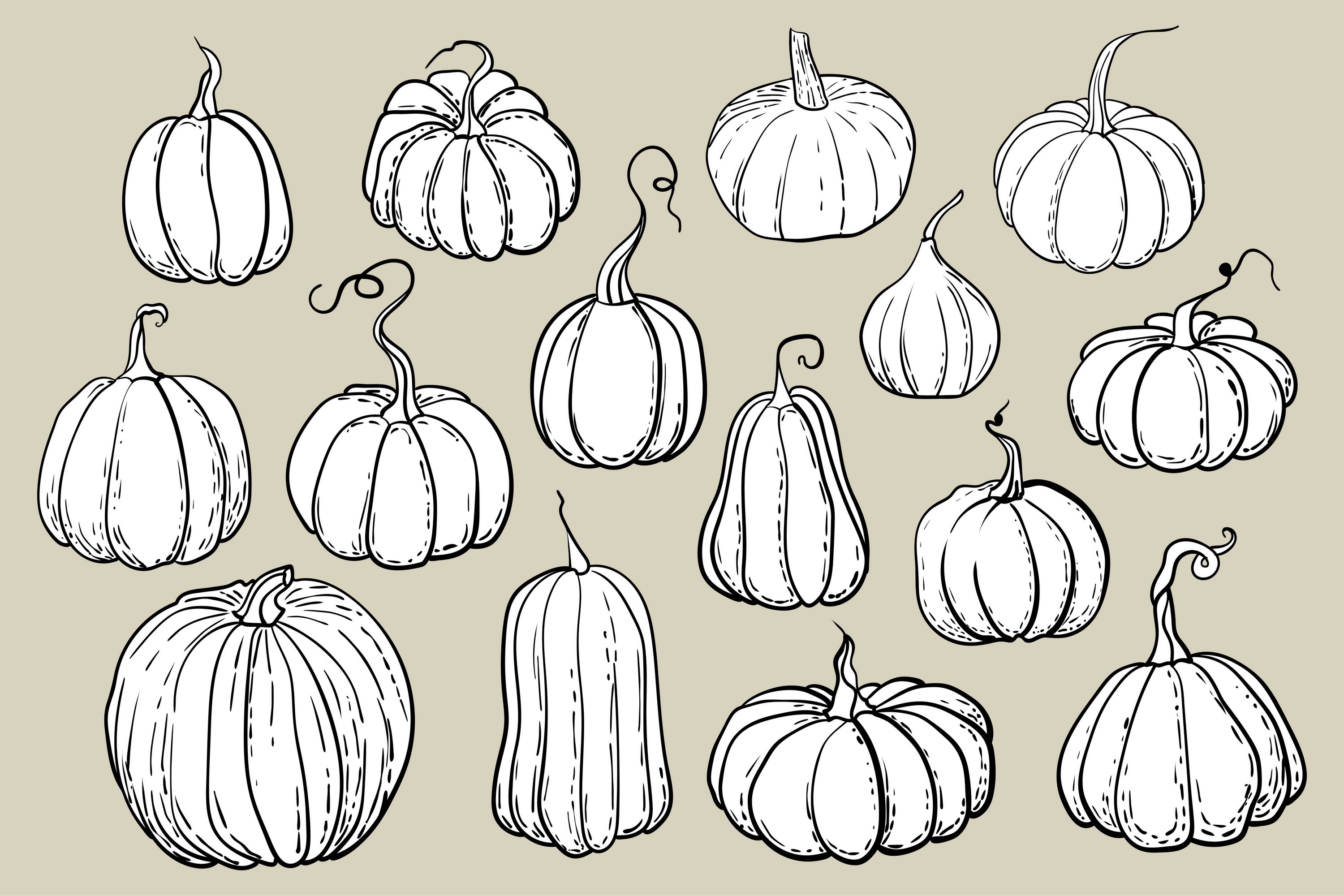 White pumpkins with different shapes.