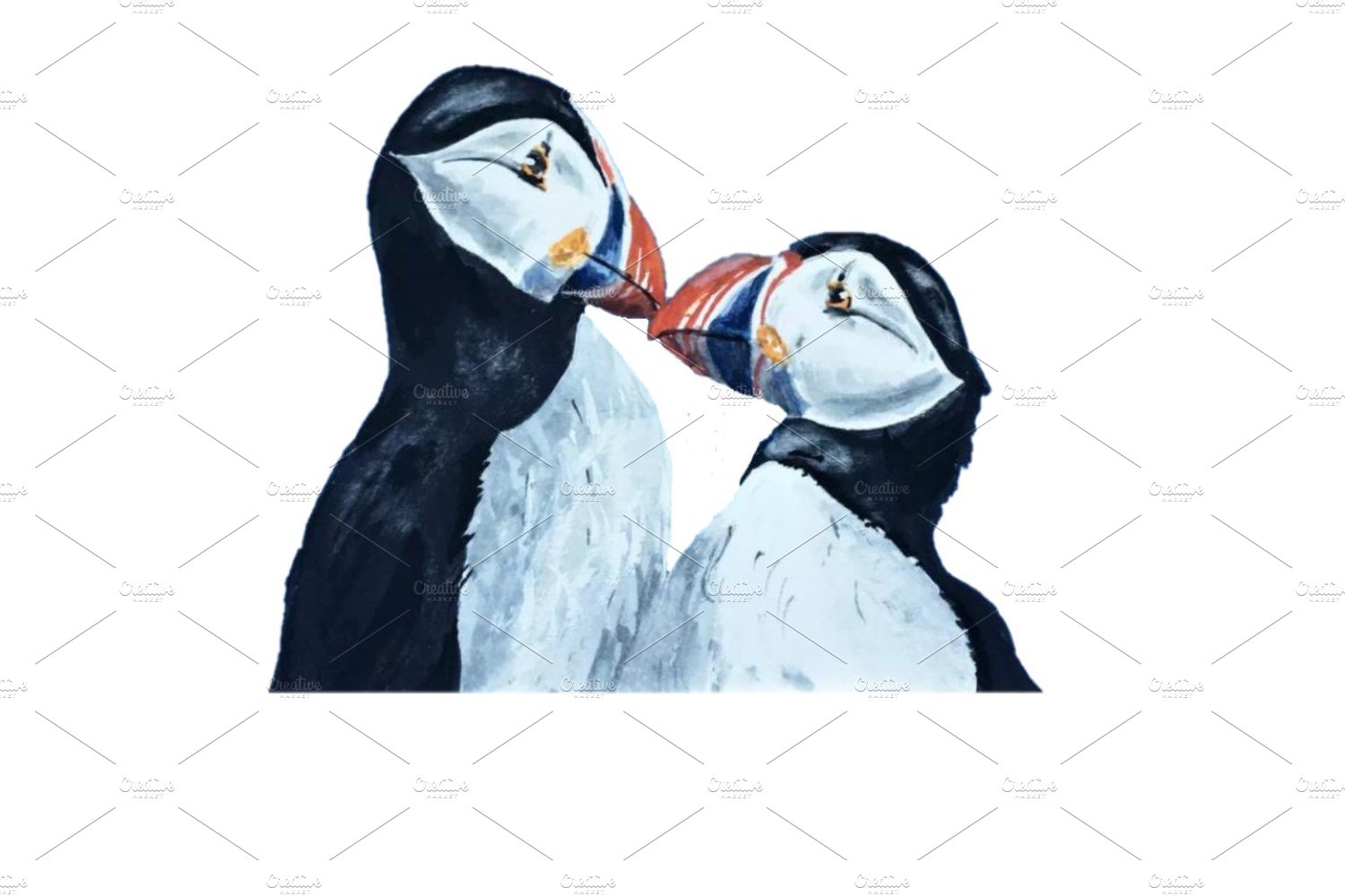 Two lovely puffins.