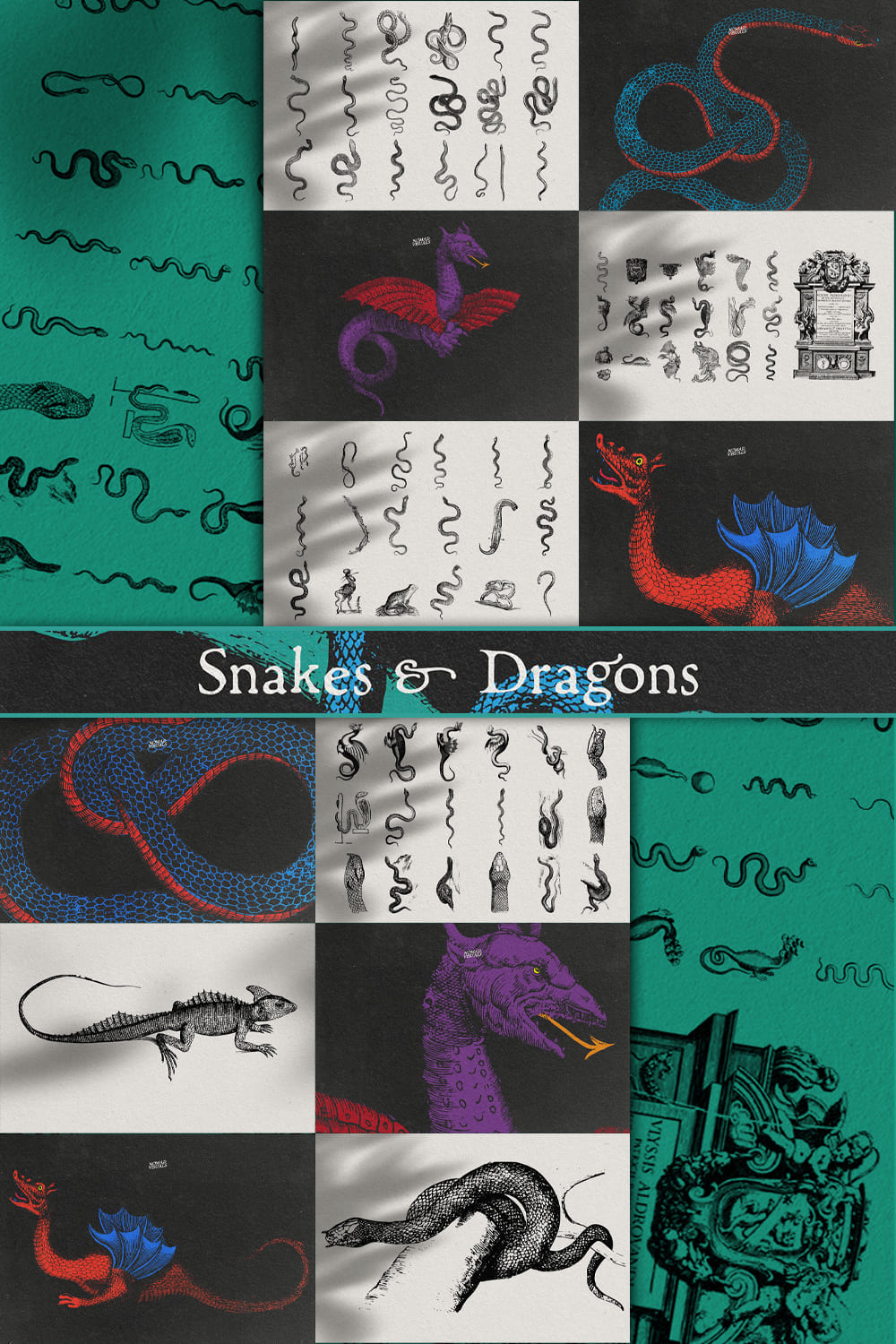 Set of fabulous and unusual snakes and dragons.