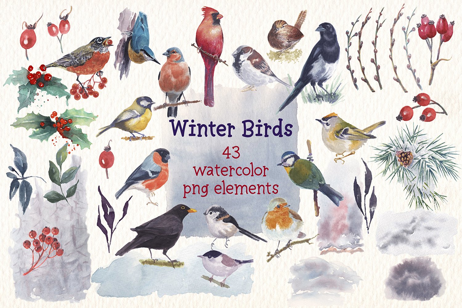 Collection with watercolor winter birds.