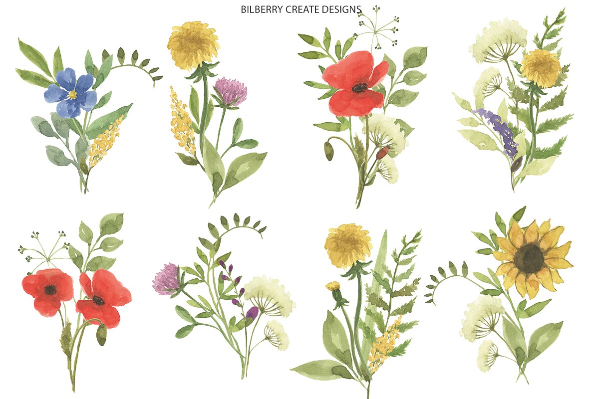 Watercolor floral elements.