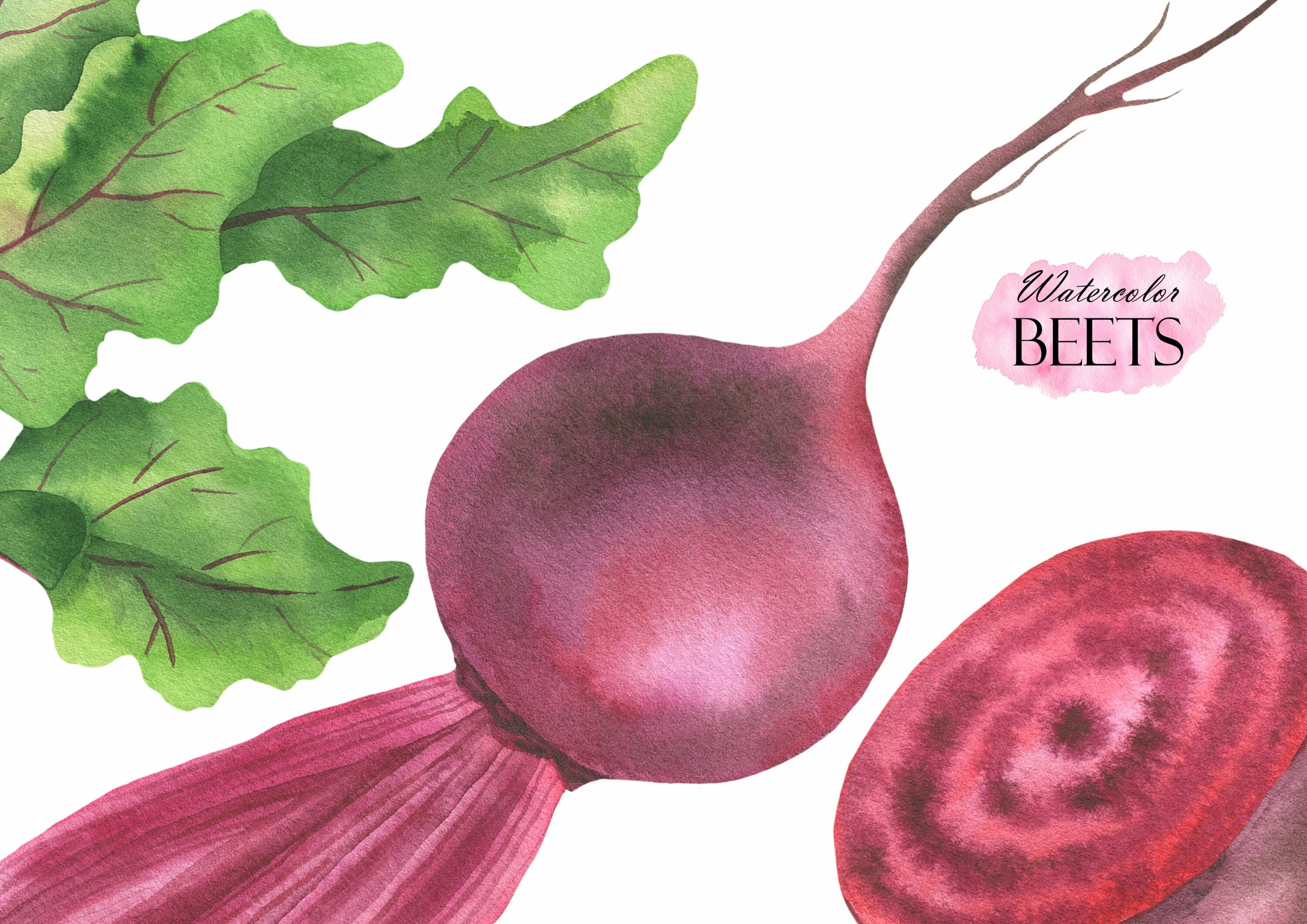 Watercolor red beets.