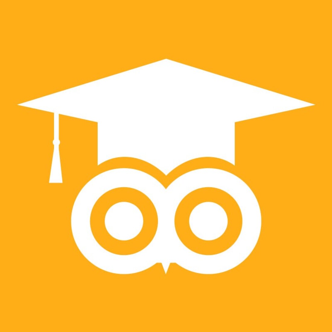 Owl Education Logo Design preview image.