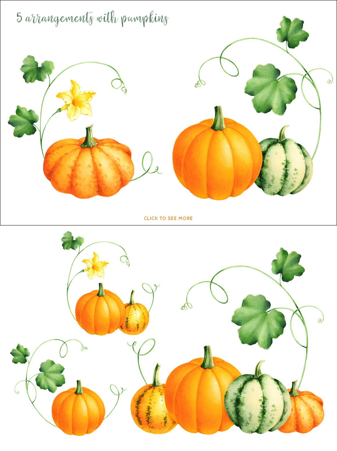 Various of shapes pumpkins and colors.