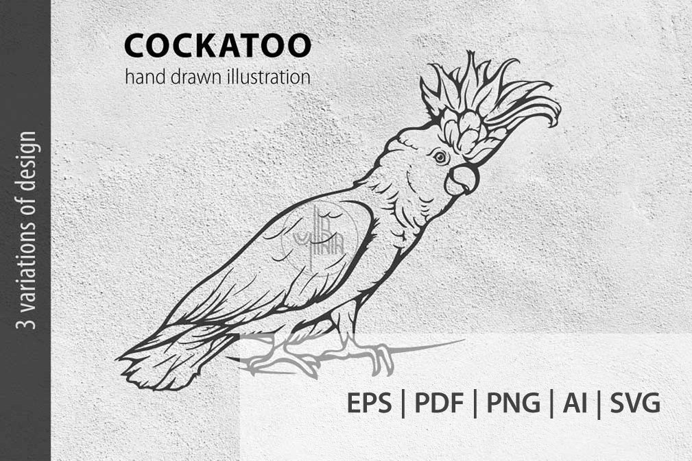 Hand drawn cockatoo on a grey background.