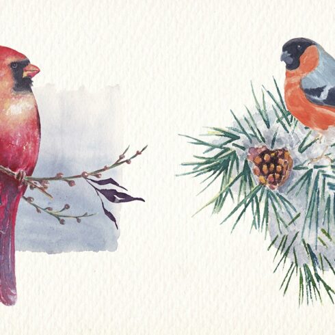 Winter Birds Watercolor Clip Art Set Design Elements | Master Bundles