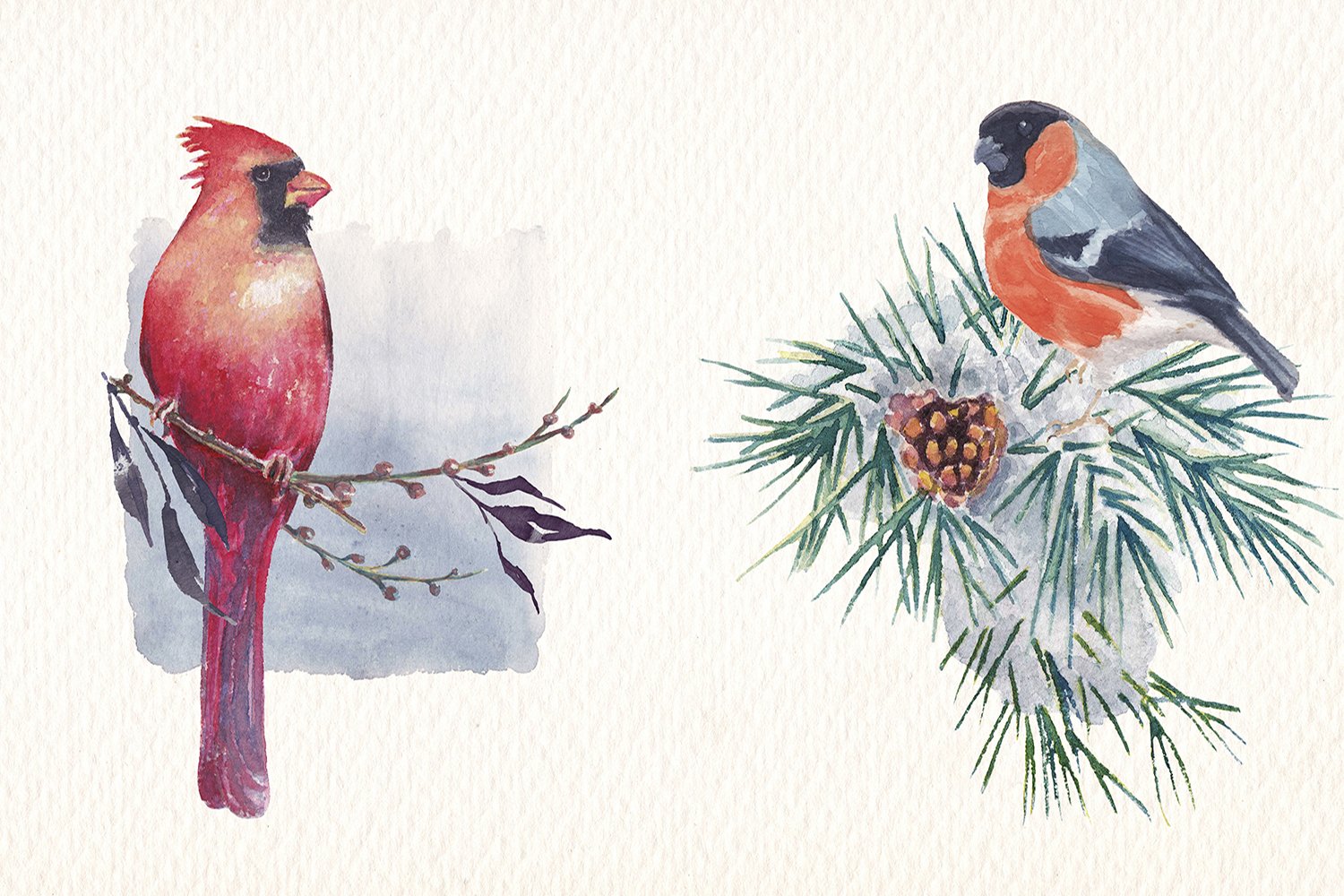Beautiful watercolor birds.