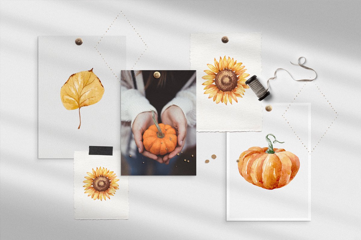 Some minimalistic autumn illustrations.
