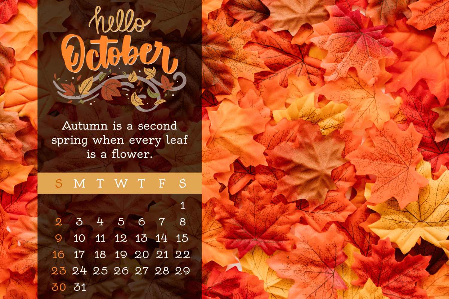 Calendar for October with a photo of yellow and orange leaves.