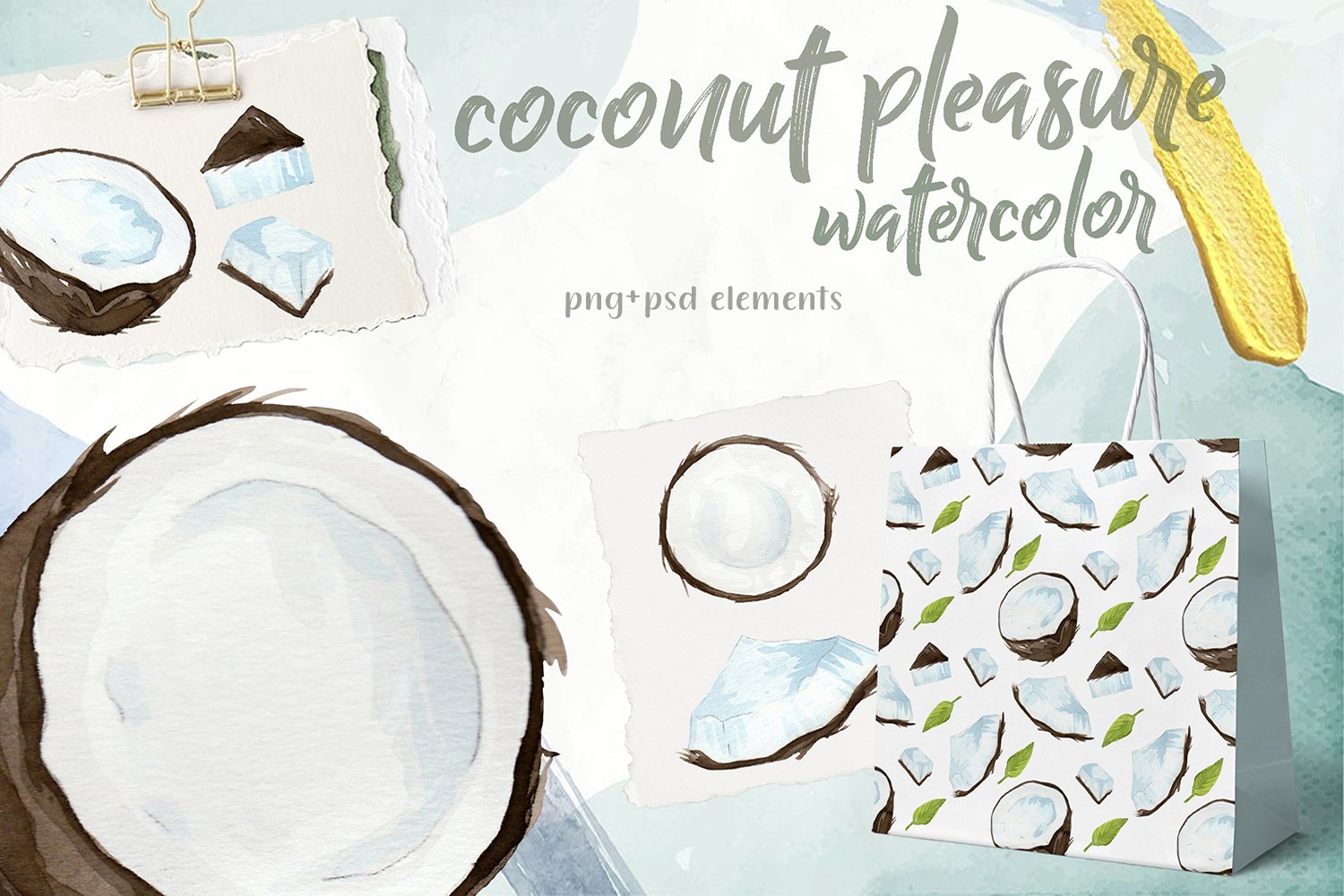 So cool and realistic coconut illustrations.