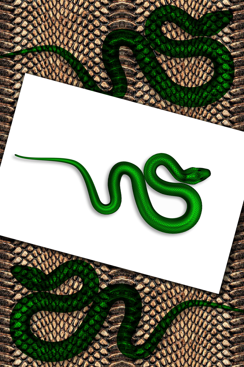 A magnificent image of an ecosite snake on a background of snakeskin.