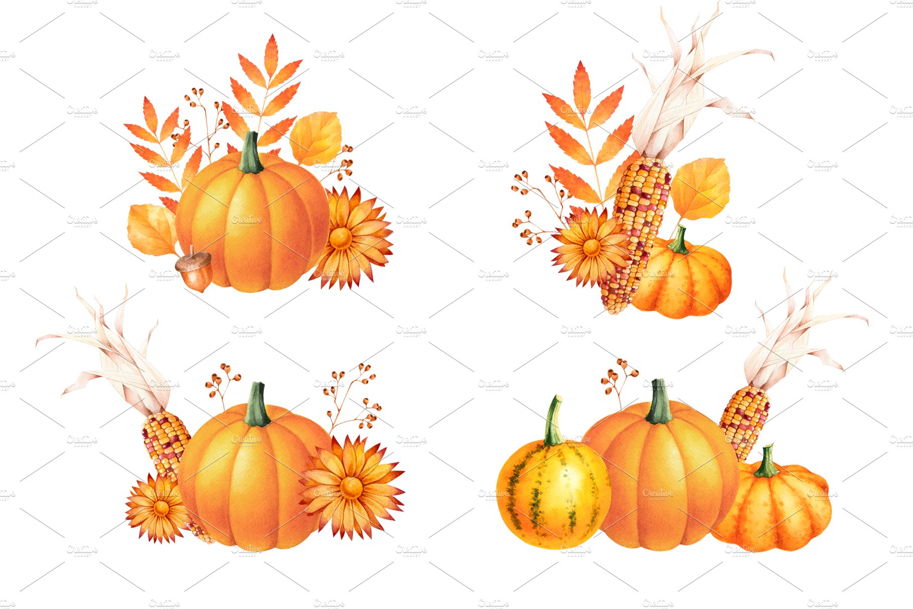 Some pumpkins illustrations in a classic color.