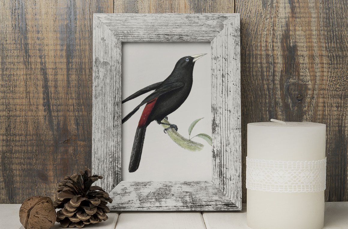 Grey wooden frame for a poster with a black oriole.