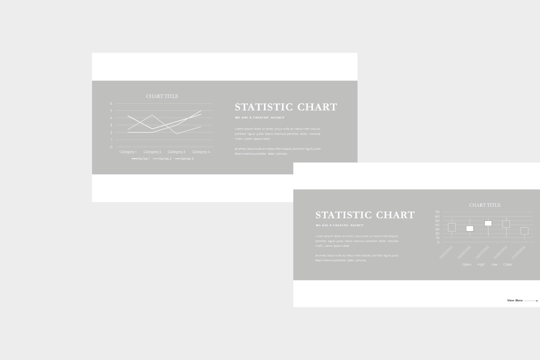 Slides with statistic chart.